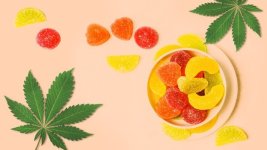 5-Best-CBD-Gummy-Products-in-2020.jpg