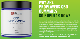 ProPlayer CBD Hemp Gummies2.png