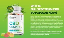 Vidapur CBD Gummies192.jpg