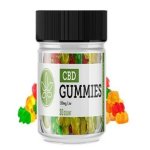 Martha MacCallum CBD Gummies.jpg