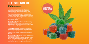 Regen CBD Gummies1.png