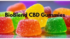 BioBlend CBD Gummies-1.jpg