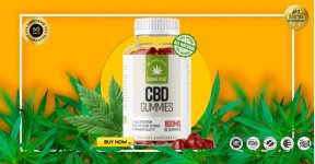 Canna Plus CBD Gummies Buy.jpeg