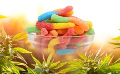 cbd-edibles-worms.jpg